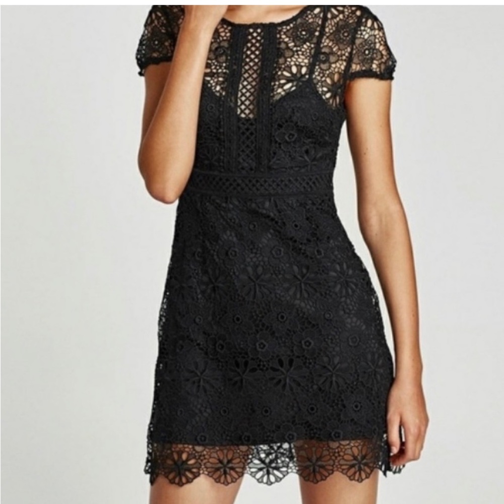 Zara Embroidered Lace Black Dress